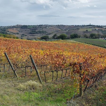 Agriturismo Al Rifugio Divino Belvedere Ostrense Eksteriør billede